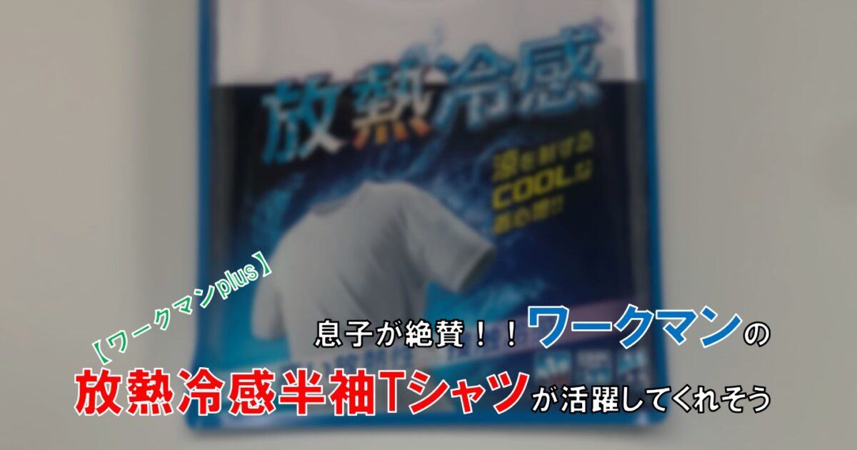 ワークマン 息子が絶賛 今年も放熱冷感tシャツが活躍してくれそう 自由な人生へ それ ロン 塾 ワークマン 息子が絶賛 今年も放熱冷感tシャツが活躍してくれそう 自由な人生へ それ ロン 塾